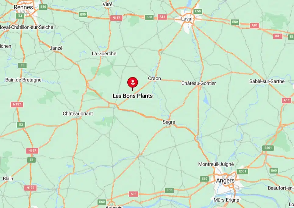 Pépinière mayenne